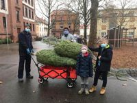 weihnachtsbaumverkauf-freundeskreis-roehmschule-lieferservice
