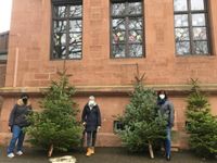 weihnachtsbaumverkauf-freundeskreis-roehmschule-baeume